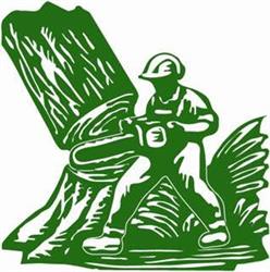 Bomen Beterams bv, Rijmenam openingstijden