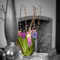 Mariën (Bloemen), Berlaar openingstijden