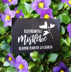 Bloemen Mistletoe, Hove openingstijden