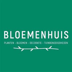 Bloemenhuis Van Hove bvba, Beveren-Waas openingstijden