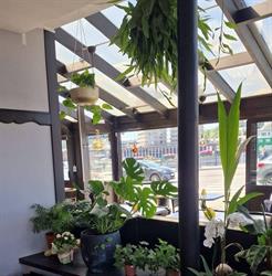 Brasserie la Couronne sprl, Hoei openingstijden