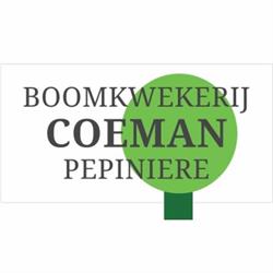 Coeman Alain, Boomkwekerij, Waregem openingstijden