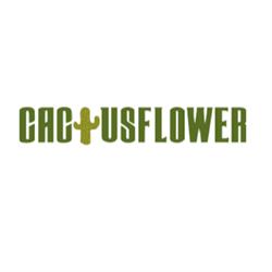 Cactusflower, Rumst openingstijden
