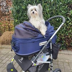 Dierenspeciaalzaak Christel, Herenthout openingstijden