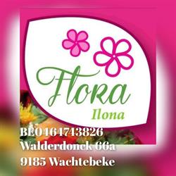 Flora-Ilona bvba, Wachtebeke openingstijden