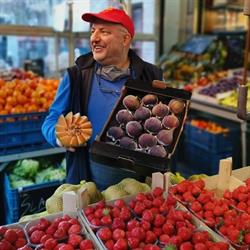 Fruitco bvba, Gent openingstijden