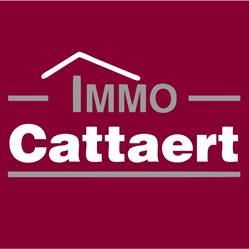 Immo Cattaert, De Panne openingstijden