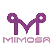 Mimosa Lingerie, Sint-Truiden openingstijden