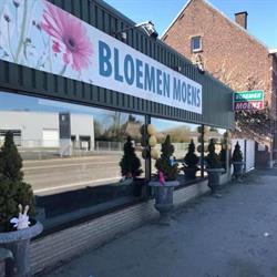 Moens BVBA, Lebbeke openingstijden