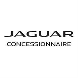 Jaguar Thiry, Habay-la-Neuve openingstijden