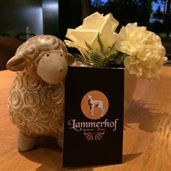 Lammerhof BVBA, Lubbeek openingstijden