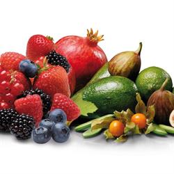 Special Fruit NV, Meer openingstijden