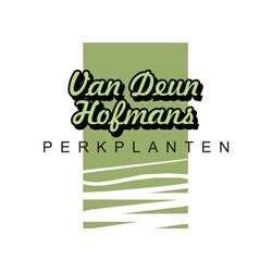 Perkplanten Van Deun - Hofmans bvba, Zoersel openingstijden
