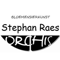 Orchis-Raes Stephan, Vilvoorde openingstijden