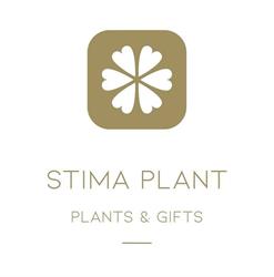 Stima - Plant Bvba, Pittem openingstijden