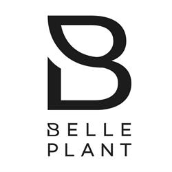 Belleplant Groencentrum BVBA, Maldegem openingstijden