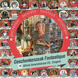 Fantastique, Zingem openingstijden