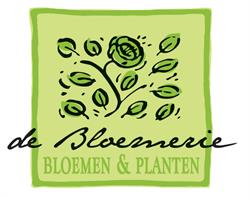 Bloemerie, Antwerpen openingstijden