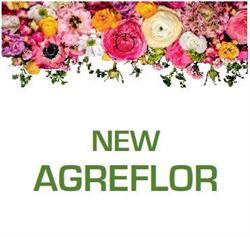 Agreflor, Aalst openingstijden