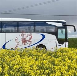 Autocars 't Ros Beiaard, Lebbeke openingstijden