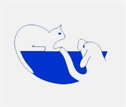 Dierenartsenpraktijk Bruckers, Kinrooi openingstijden