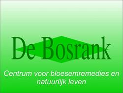 Bosrank, Herk-de-Stad openingstijden