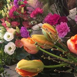 Bloemen Sas, Vosselaar openingstijden