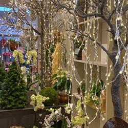 Bloemenatelier Fine Fleur, Geraardsbergen openingstijden