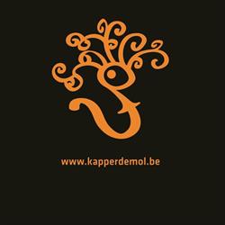 Kapper De Mol Jurgen, Lede openingstijden