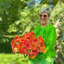 De Eeuwige Lente, Kruibeke openingstijden