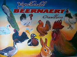 Vogelhandel Beernaert, Moorslede openingstijden