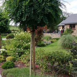 Dehon vincent, Bièvre openingstijden