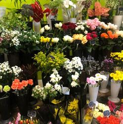 Bouquet Varié, Ukkel openingstijden