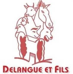 Delangue & Fils SPRL, Brunehaut openingstijden