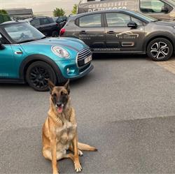 Carrosserie De Vlieger, Aalter openingstijden
