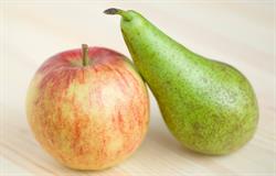 Steffi-Fruit, Damme openingstijden