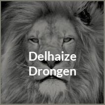 AD Delhaize Drongen BVBA, Gent openingstijden