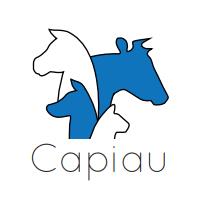 Capiau marc, Oudenaarde openingstijden