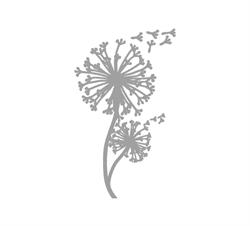 Callebaut & co, Erpe-Mere openingstijden