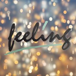 Feeling, Zelzate openingstijden