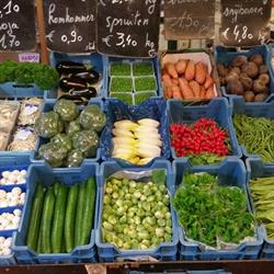 De Fruitpoort, Ninove openingstijden
