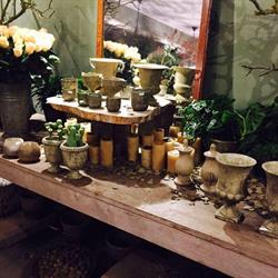 Fiori Bloemen, Gavere openingstijden