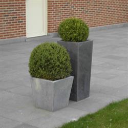 Antomar, Oostrozebeke openingstijden