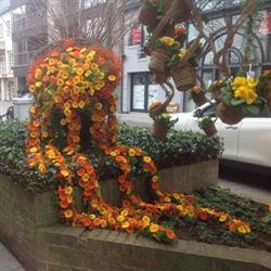 Bloemenboetiek hingene, Bornem openingstijden