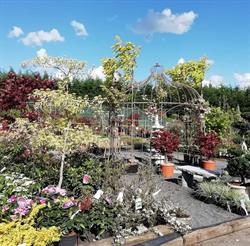 Central Jardin Rosières, Genepiën openingstijden
