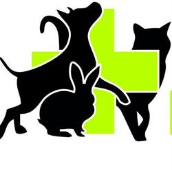 Dierenartsenpraktijk De Konijnenberg, Vosselaar openingstijden