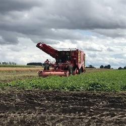 Loonwerken Claerhout, Tielt openingstijden