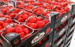 Aardbeienhof Coenegrachts Patrick, Riemst openingstijden
