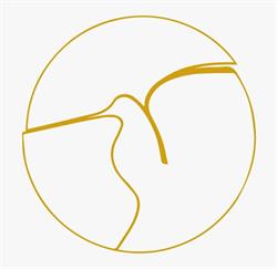 Feestzaal De Snip nv, Aalst openingstijden