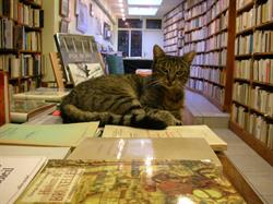 Librairie l'Oiseau-Lire, Bergen openingstijden
